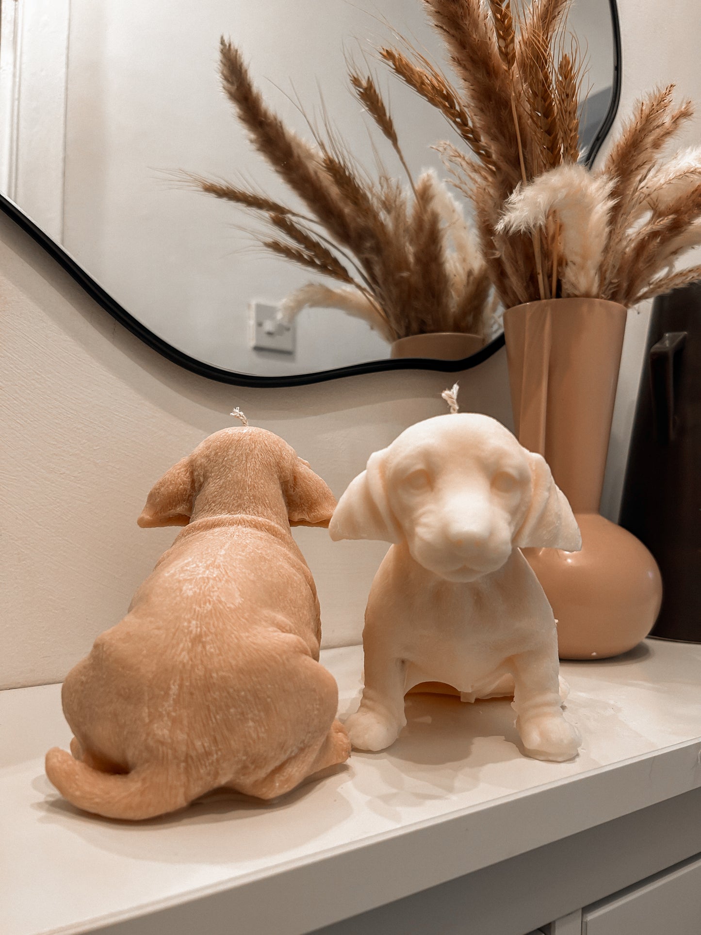 Large Dachshund Dog