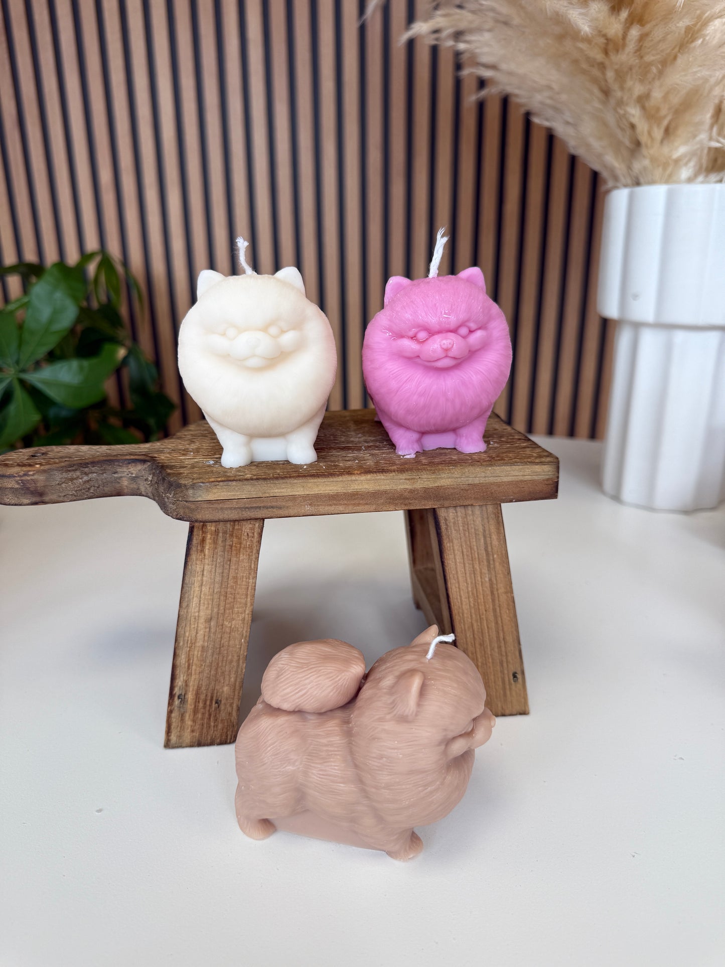 Pomeranian dog candle