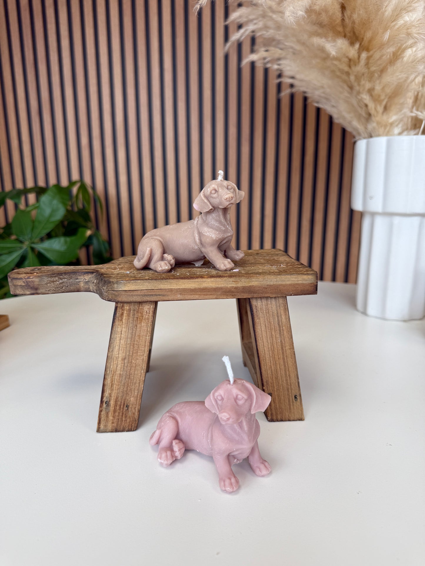 Dachshund dog candle