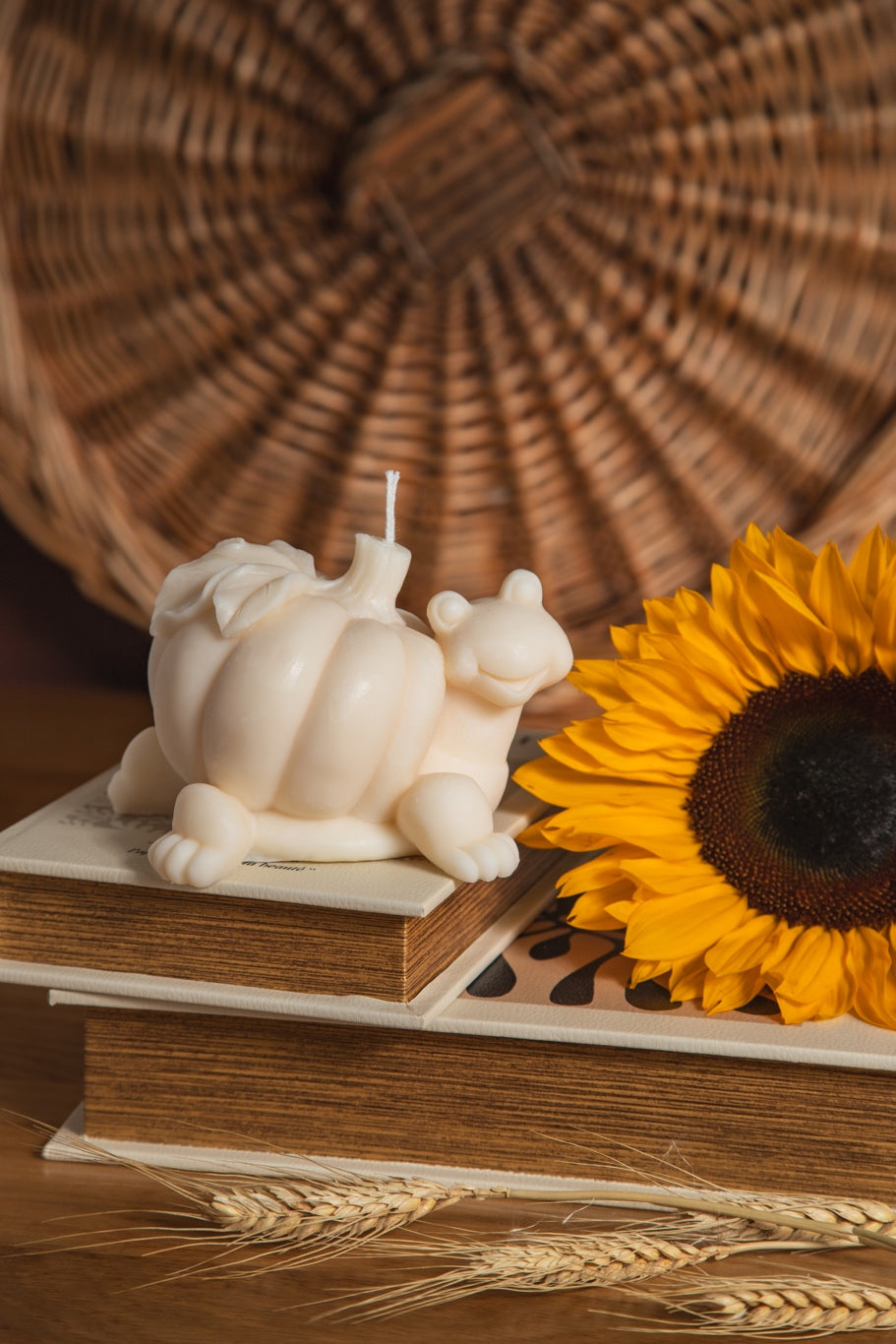 Turtle Candle | Autumn Collection