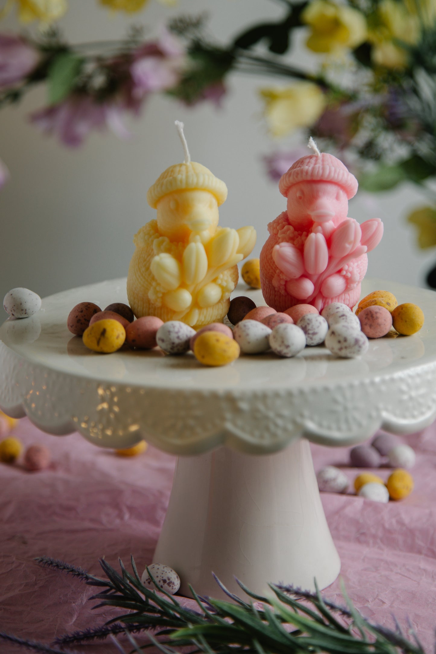 Spring Duck