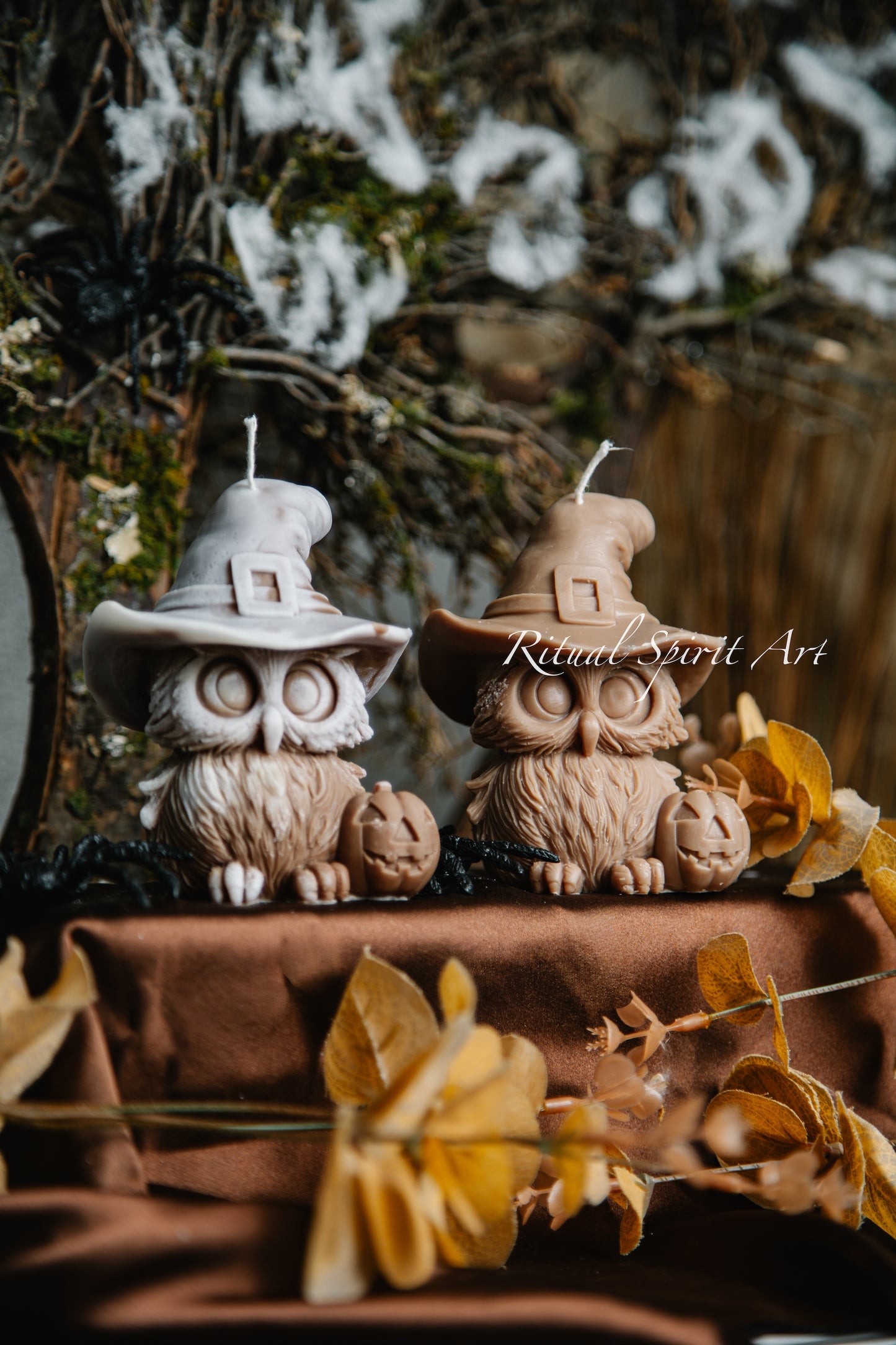 Halloween Owl | Autumn Collection