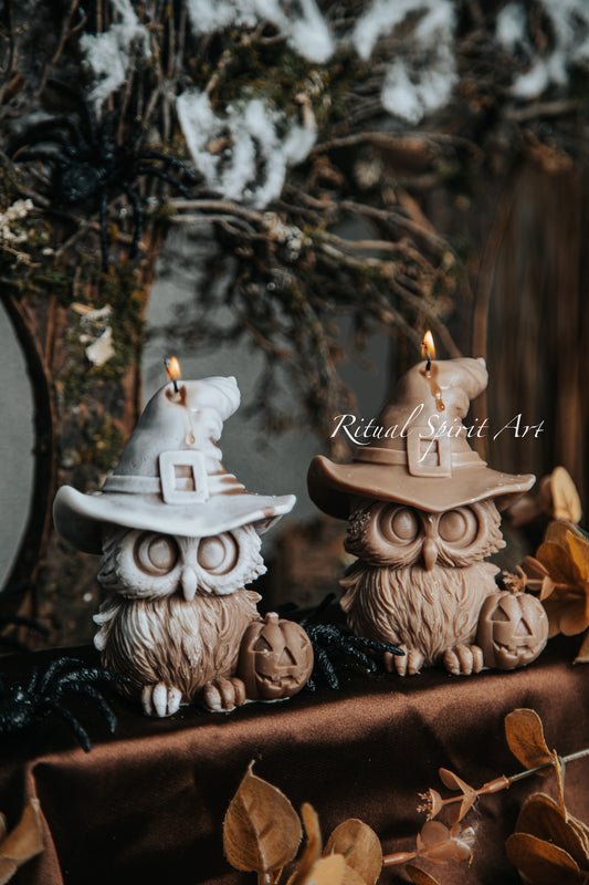 Halloween Owl | Autumn Collection