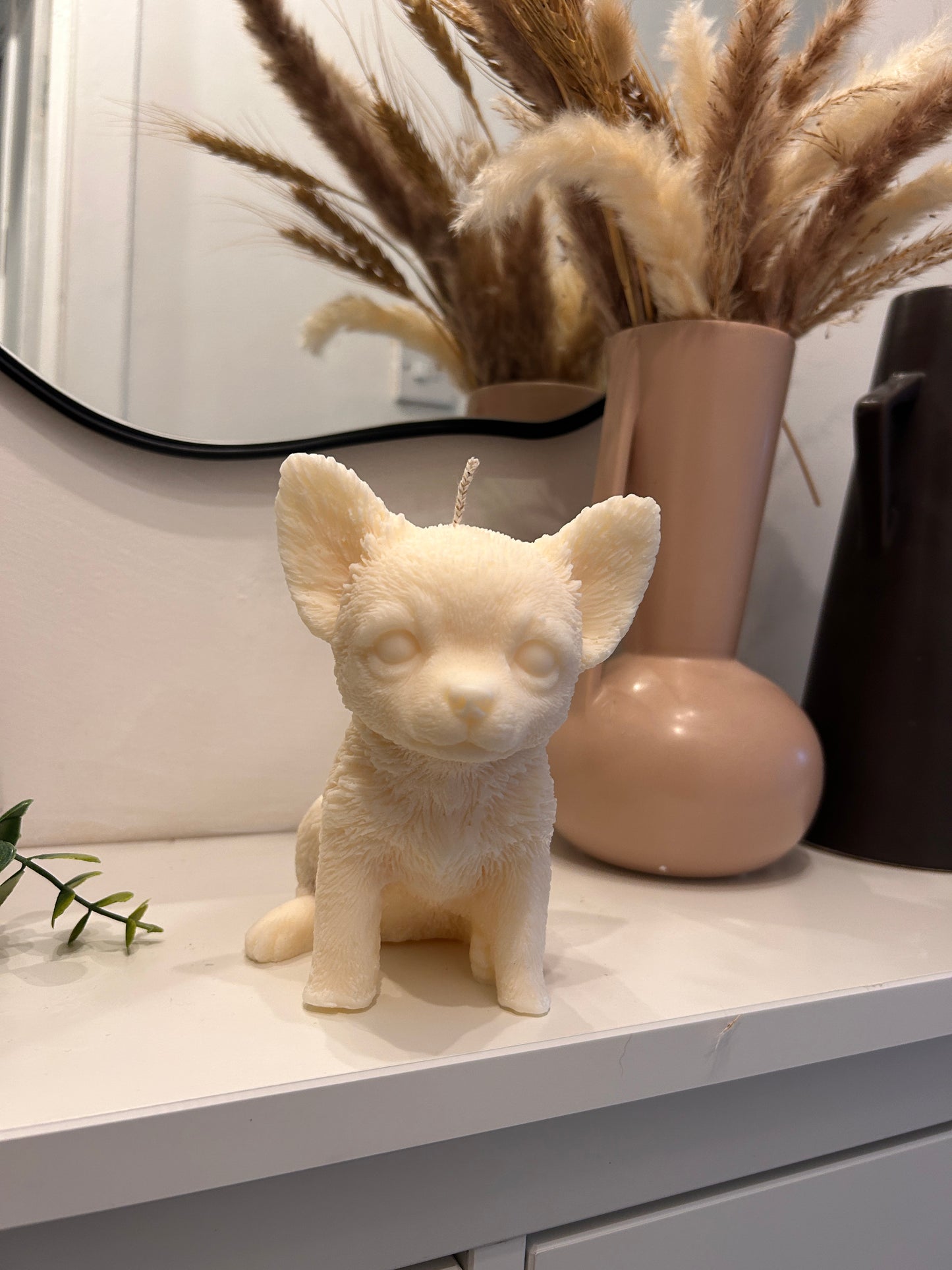 Large Chihuahua Dog